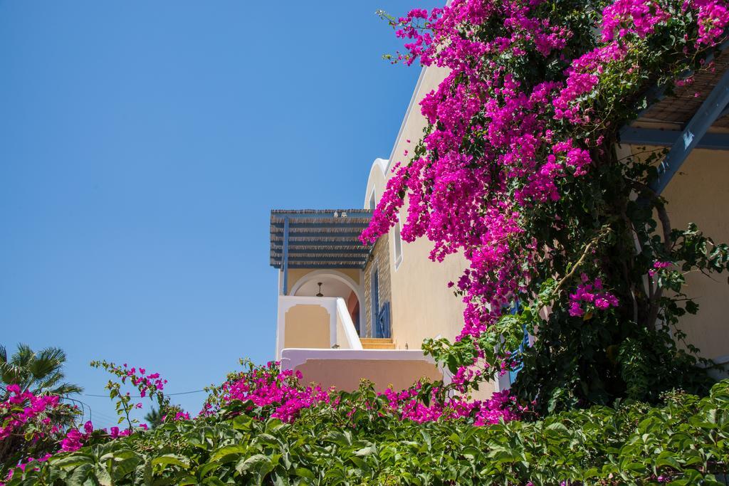 Asterias Mini Coastal Apartments Playa de Perivolos Exterior foto